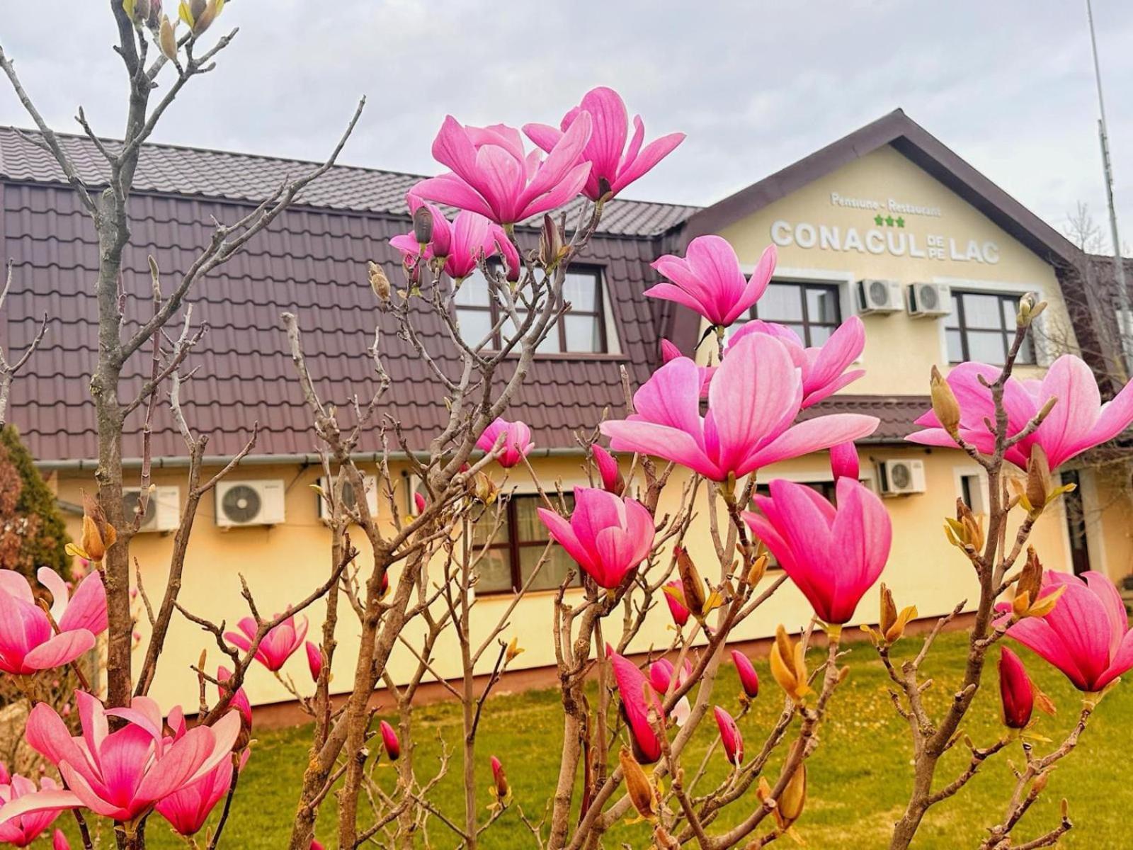 Conacul De Pe Lac Sagu Dış mekan fotoğraf